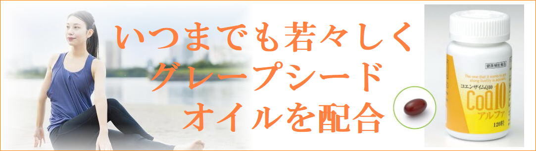 キトサン菊 1本 日本生物化学株式会社