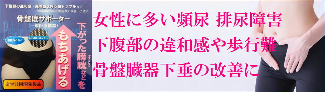 アダム医健 骨盤底サポーター 1個 送料無料 頻尿に 病院で膀胱や子宮などが下垂していると言われた方 :kbg-10302:HIS健康情報.com -  通販 - Yahoo!ショッピング