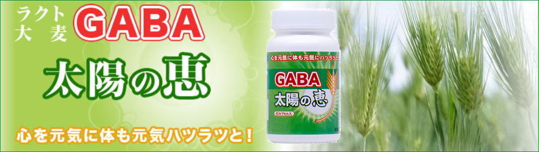 ギャバ サプリメント ラクト大麦 GABA 62カプセル×3個 送料無料 大麦由来の乳酸菌発酵ギャバ キトサン食品工業 :ksh-1447-3:HIS健康情報.com  - 通販 - Yahoo!ショッピング