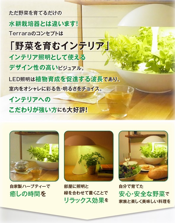 人気が高い オリンピア照明 新品 未使用 水耕栽培セット Akarina01 その他 Tarquinhall Com