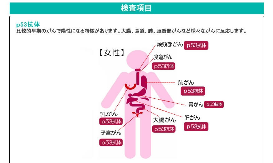 検査項目(1)