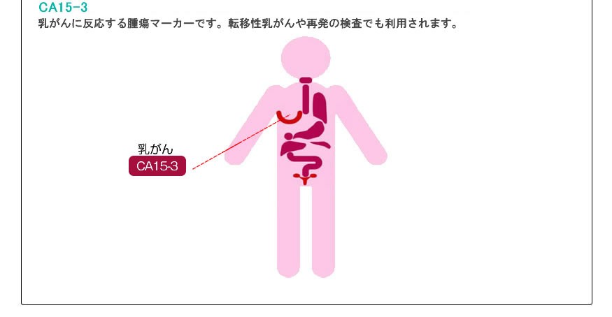 検査項目(2)