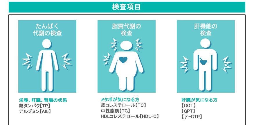 13項目]栄養状態・肝機能・脂質代謝・血糖・尿酸・腎機能