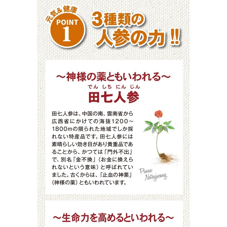 気元人参720ml×1本 3種類の人参 高麗人参 田七人参 酵素分解 ケイ素 葉酸 鉄 果実エキス 吸収速度UP 健康飲料 ドリンク】  :kigen-ninjin:健康クレール - 通販 - Yahoo!ショッピング