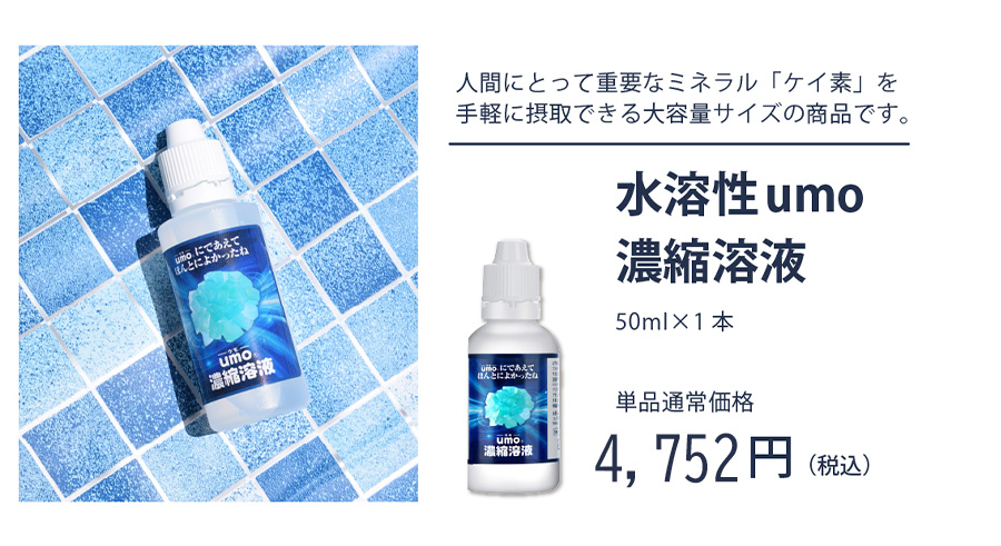 数量限定！特別セットG 単品合計価格5,392→4,752円 Wセット