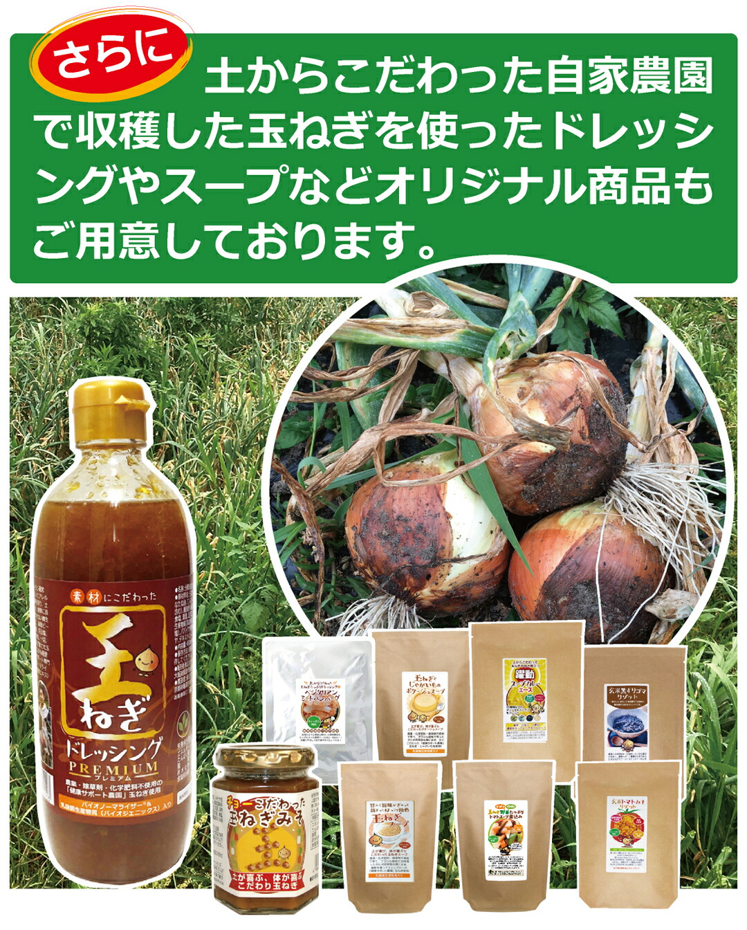 毎日健康美 300g 健康・美容サポート 公式】キューサイ ひざサポートコラーゲン 150g (約30日分)[機能