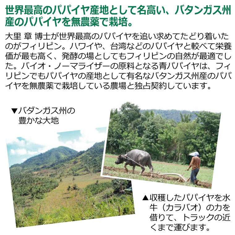 バイオノーマライザー（30袋） ※全国送料無料 【あすつく対応】【三旺