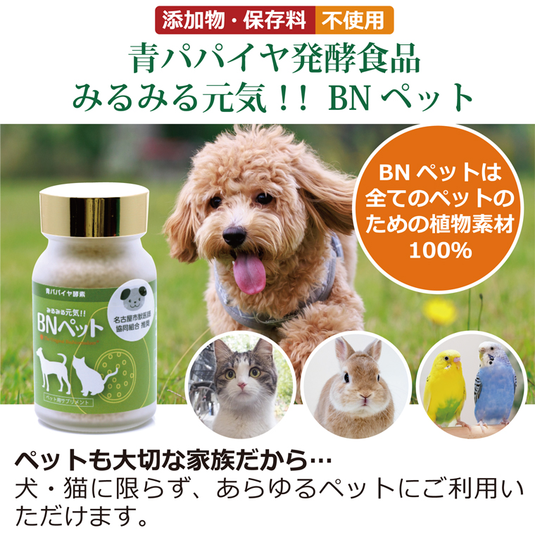 青パパイヤ発酵食品BNペット
