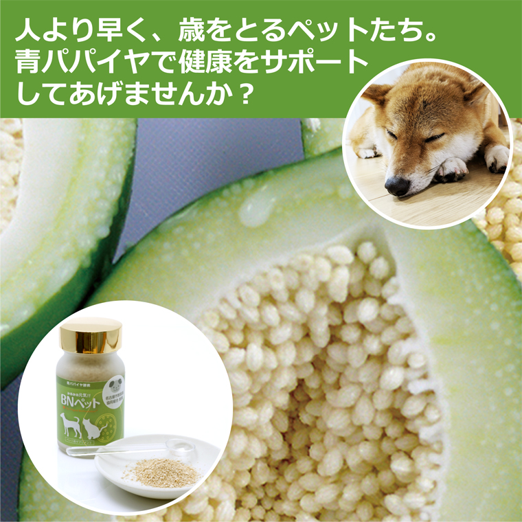 青パパイヤで健康をサポート