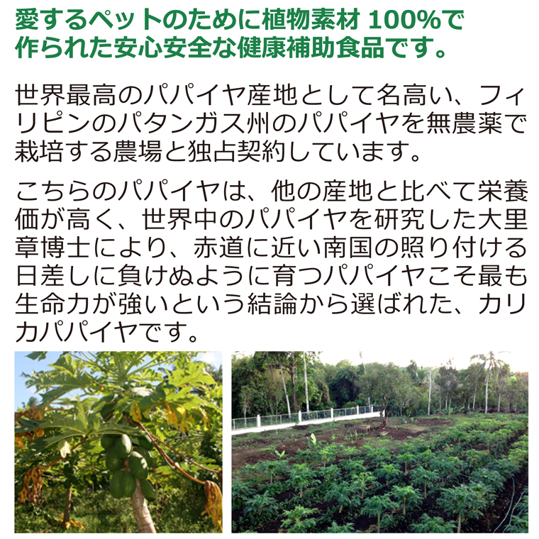 BNペット