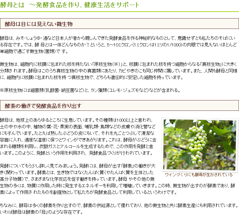 コーボンマーベル （525ml×8本セット）※全国送料無料 ※同梱