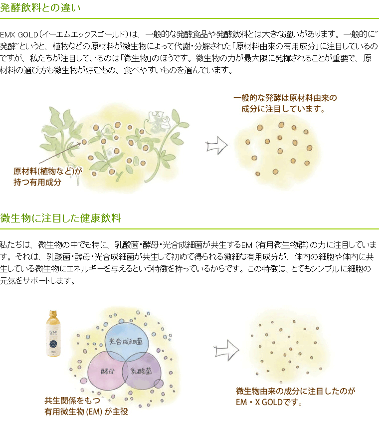 butterfly EMX gold 2本セット EMX GOLD（イーエムエックスゴールド） （500ml×2本セット） ※お楽しみ