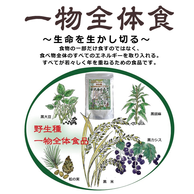 古代食くろご 古代食くろご （800g） 【千年前の食品舎】【黒五粉末は野生種の黒米