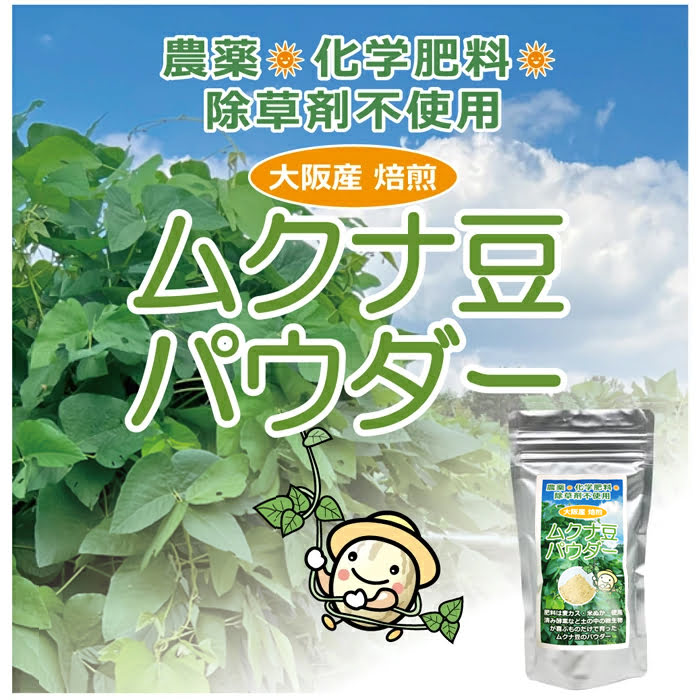 ムクナ豆パウダー 100g 無農薬 無化学肥料 無除草剤 自社農園 大阪産