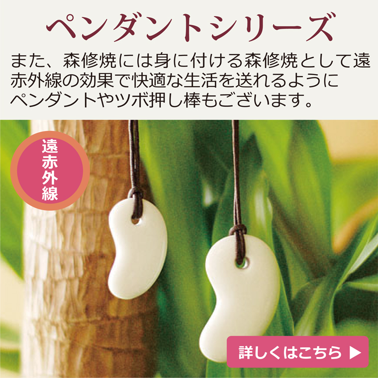 森修焼特典】森修焼 プレート M : 健康サポート専門店 - 通販 - Yahoo