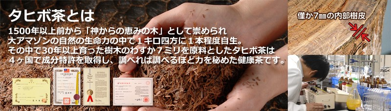 タヒボとは