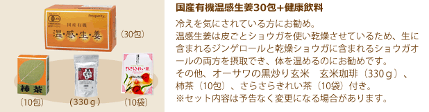 市場 3000円OFFクーポン対象 日本遠赤 家庭用温熱治療器 コスモパック CL型 赤外線