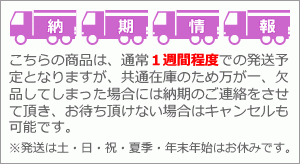 車椅子 車いす 姿勢保持装置付き 子供用バギー 背・座シート張り調節