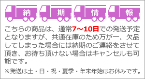 介護雑貨 生活支援用品 バンビーナチェア テーブル Ｓサイズ用 小