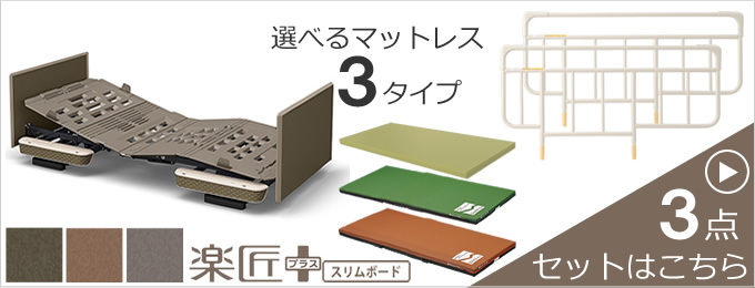 バラさま用 パラマウントベッド 楽匠プラス 2モーション Hタイプ スリム