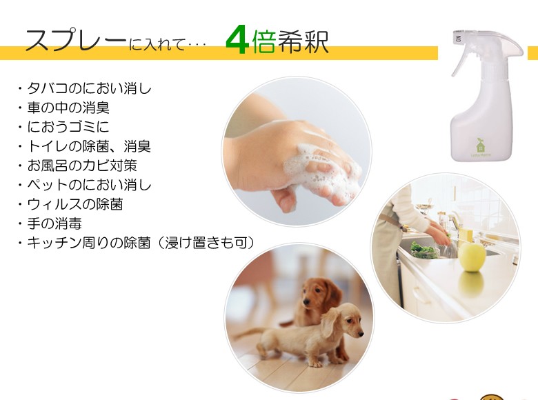 エクセレントNEO