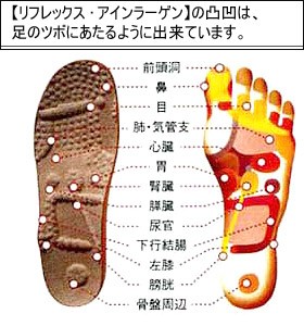 ドイツ製フィンコンフォート（finn comfort）専用インソール リ