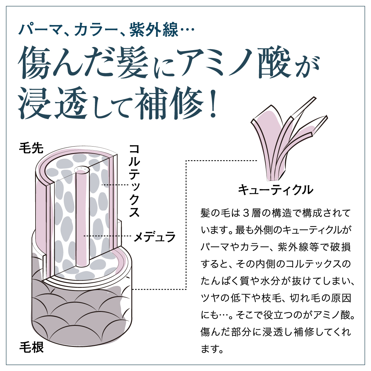 公式『MARUシャンプー つめかえ用』『MARUトリートメント