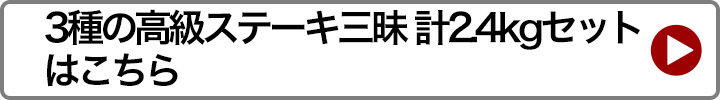 3種の高級ステーキ三昧 計1.2kg 【お気に入り】