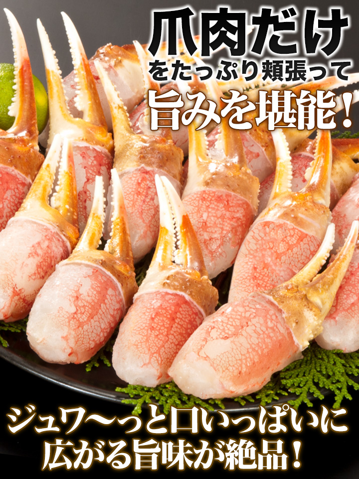 3kg ズワイガニ爪 ずわいがに爪 ズワイ爪 ズワイガニ爪肉 カニ爪