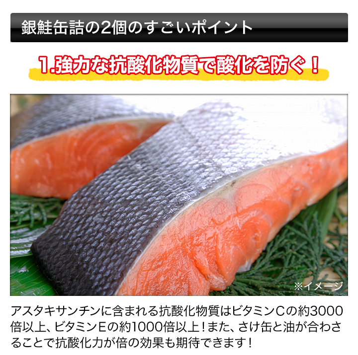 銀鮭 缶詰 宝幸 快適生活 HOKO「銀鮭中骨水煮缶」 12缶 : 快適