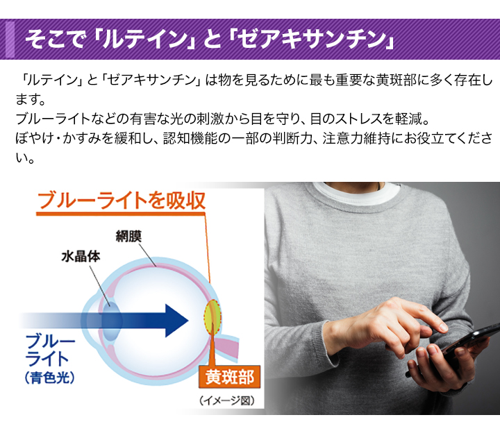 ひとみにルテイン3個セット 一二三薬局 – 大阪守口市の相談薬局 »アーカイブ » 生環研ひとみに