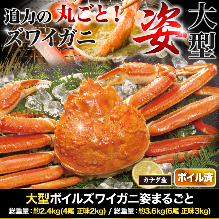 快適生活 かに カニ 蟹 大型ボイルズワイガニ姿まるごと 総重量:約3.6kg(6尾 正味3kg) : 29708 : 快適生活オンライン店 - 通販  - Yahoo!ショッピング