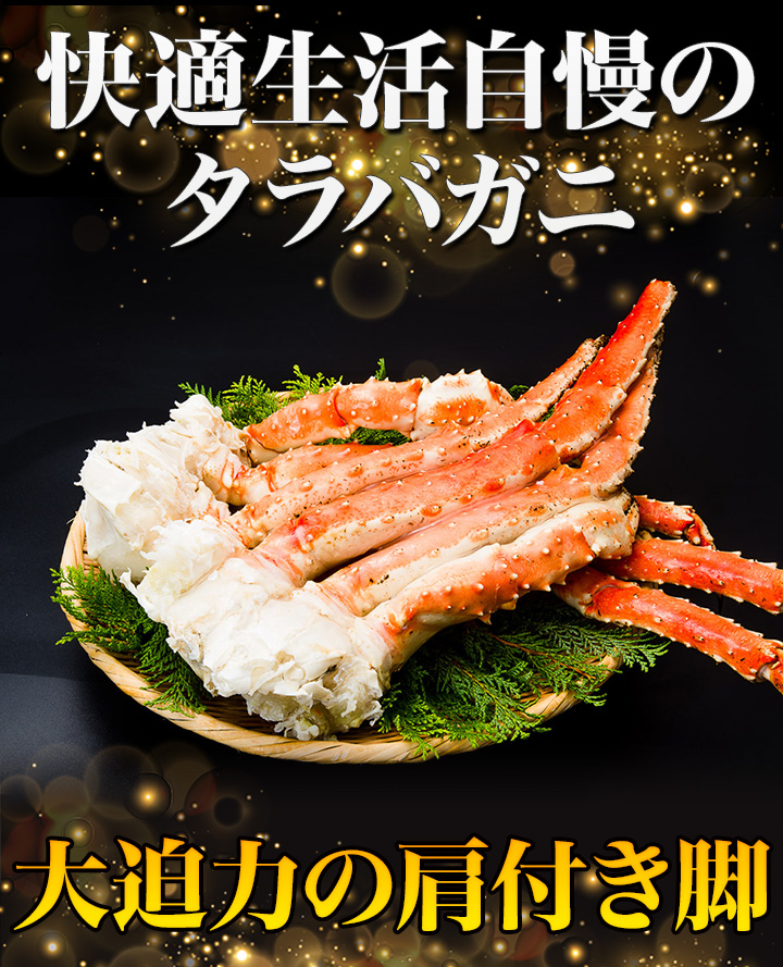 年末用蟹祭り♪訳ありズワイガニ脚2kg5肩！身入り良し！美味い！タラバガニ 毛蟹 年末用蟹祭り♪訳ありズワイガニ脚2kg6肩！身入り良し！美味い