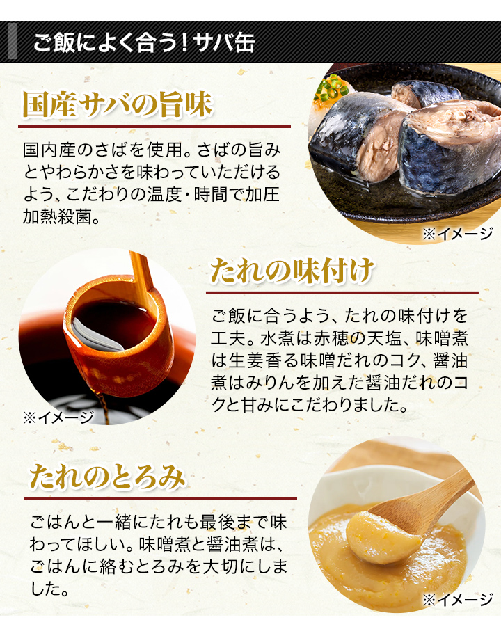 サバ缶様 購入ページ 缶詰 HOKOの国産サバ缶 (水煮/味噌煮/醤油煮) 150g×12缶 非常用 さば