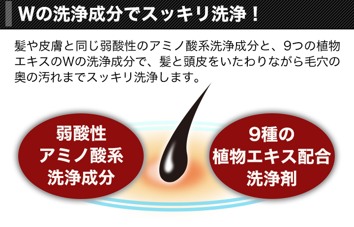 シャンプー クレンジング 快適生活 ヘアキューブ「クレンジング