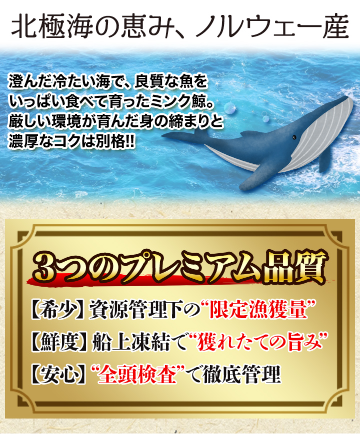 ミンク 鯨 くじら クジラ 赤身 刺身 鯨肉 クジラ肉 竜田揚げ
