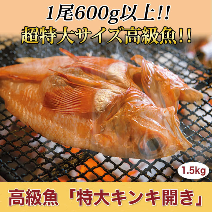 低価格 高級魚 特大キンキ開き 1 5kg 2尾 本物 低価格 高級魚 特大キンキ開き 1 5kg 2尾 本物