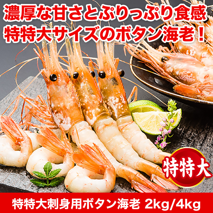 快適生活 特特大刺身用ボタン海老 2kg :27763:快適生活オンライン店 - 通販 - Yahoo!ショッピング