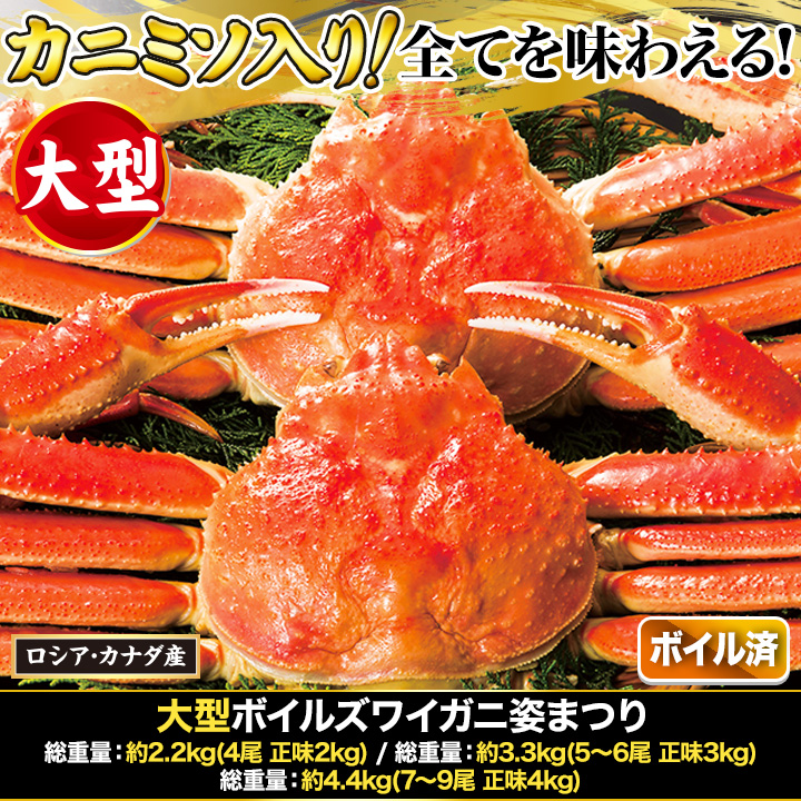 快適生活 かに カニ 蟹 大型ボイルズワイガニ姿まつり 総重量:約4.4kg(7〜8尾 正味4kg) :29530:快適生活オンライン店 - 通販 -  Yahoo!ショッピング