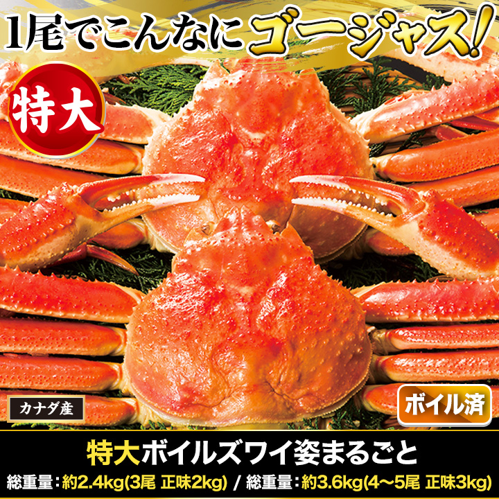 特大 本ズワイガニ脚 3.0kg(2.4kg） 8-10肩(3L) とれたて 美味いもの市