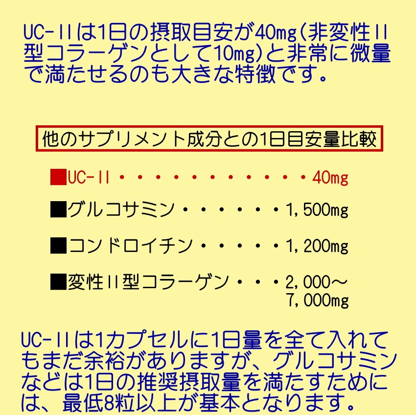 非変性II型コラーゲン09