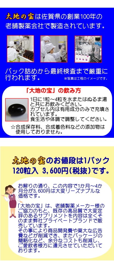 黒 にんにく卵黄 黒酢 120粒 大地の宝 黒酢にんにく すっぽん サプリ