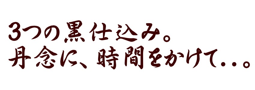 黒にんにく卵黄 黒酢 大地の宝04