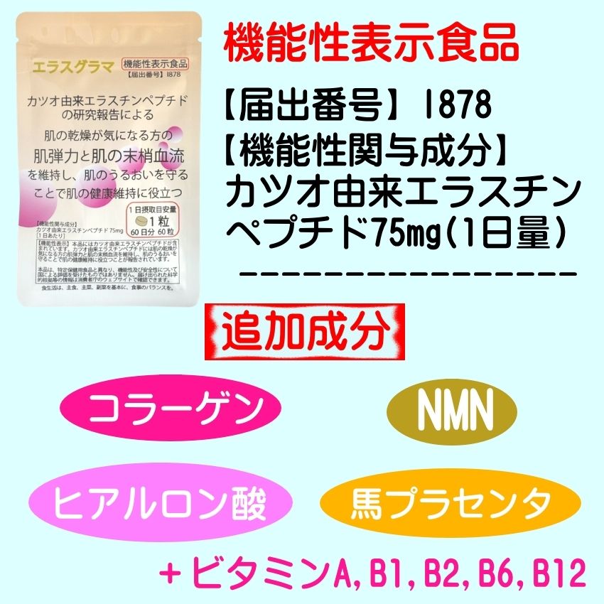 エラスチン サプリ 60日分 (機能性表示食品)お試し価格 コラーゲン 肌