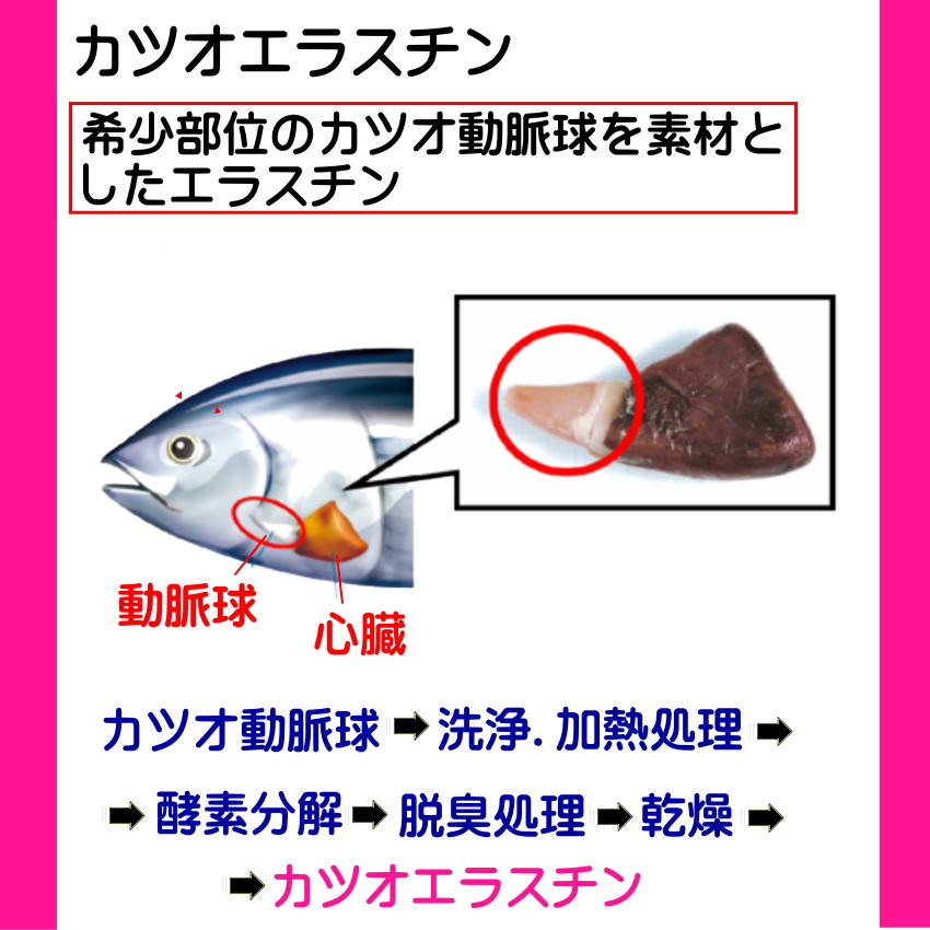 エラスチン サプリメント「エラスグラマ」06