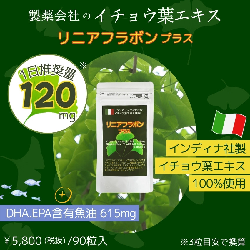 イチョウ葉 エキス サプリ DHA EPA 30-45日分 90粒 お試し価格