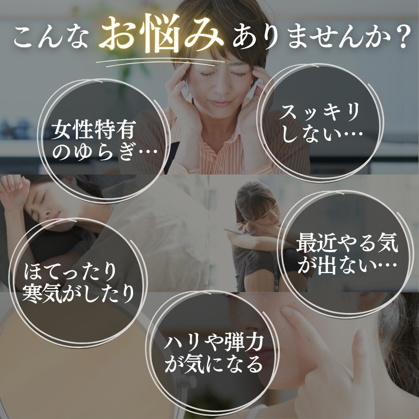 馬プラセンタ 麗らか娘 180粒 02