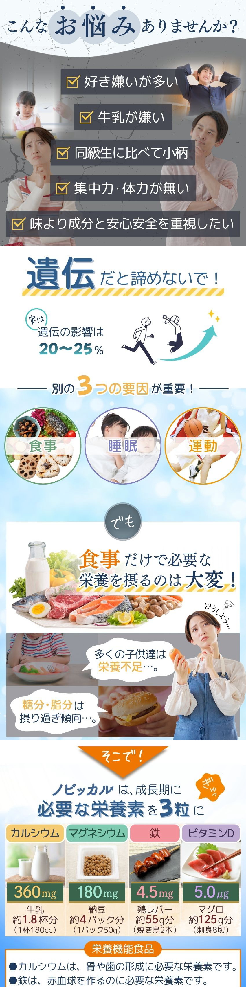 ノビッカル 02-05
