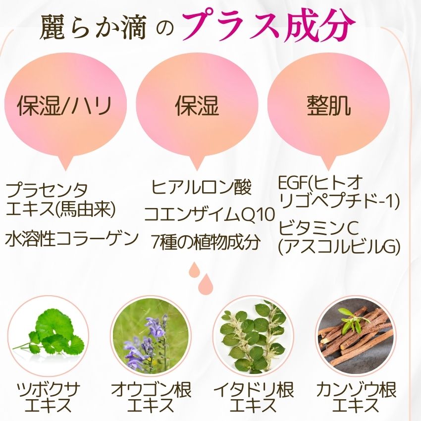 ヒト幹細胞 美容液 馬プラセンタ 高配合 ヒト幹細胞培養液