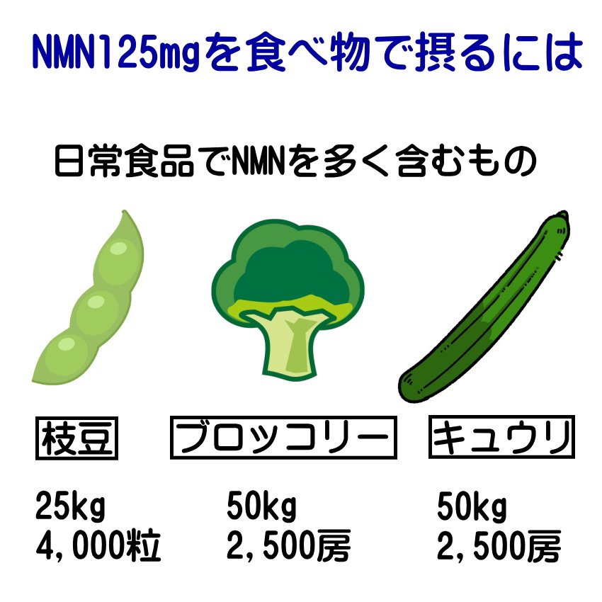 たべる NMN サプリメント 05